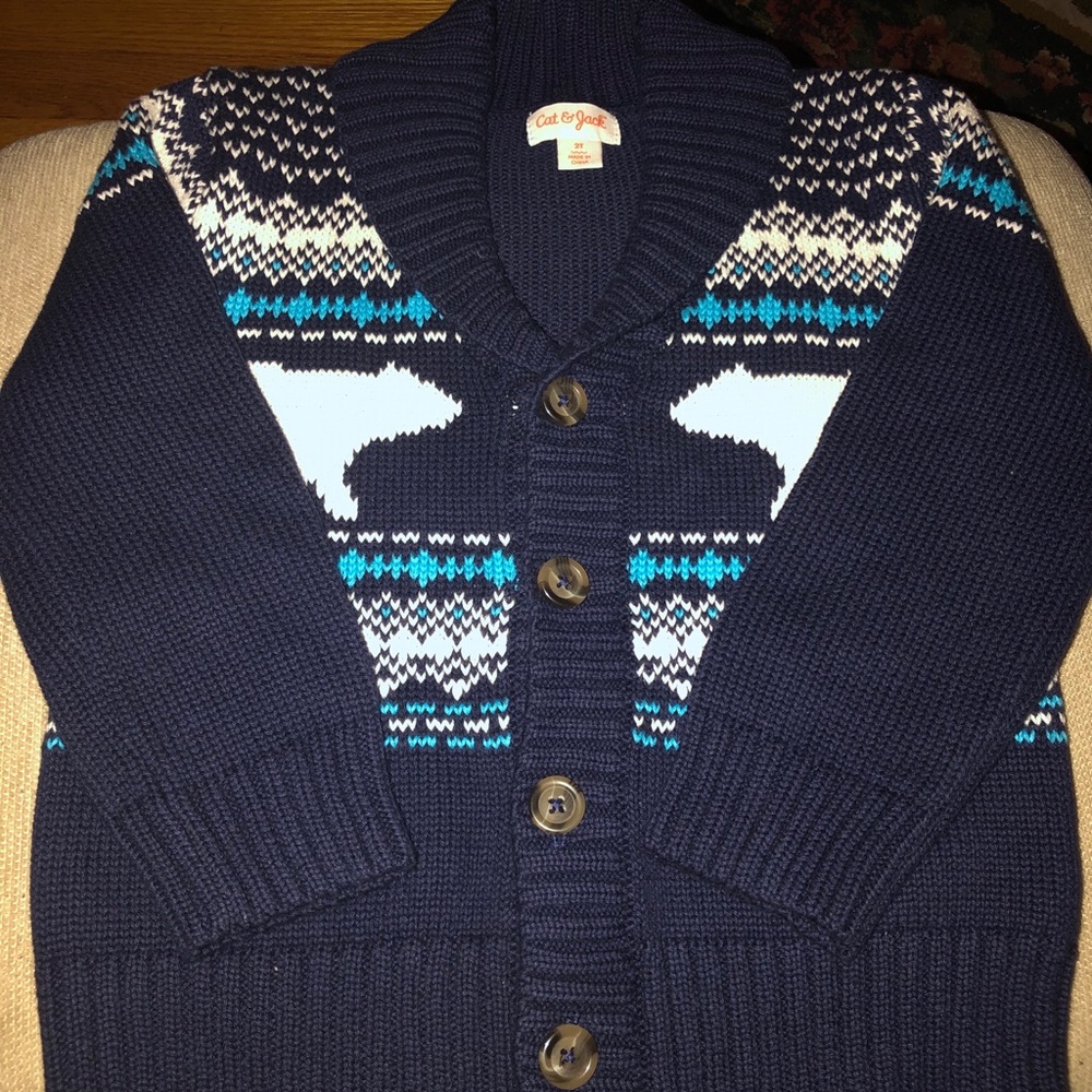 Toddler boys sweater